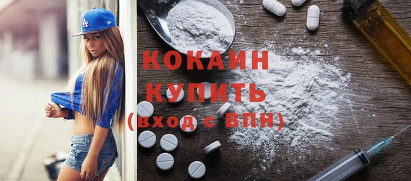 PSILOCYBIN Няндома