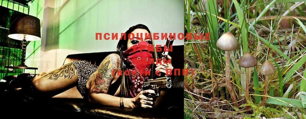 трава Нягань