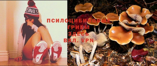 трава Нягань