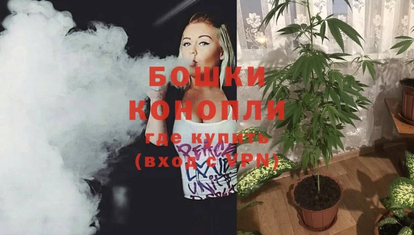 PSILOCYBIN Няндома