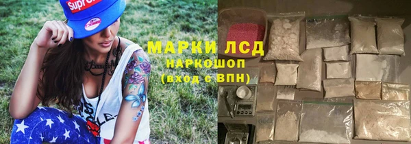 PSILOCYBIN Няндома