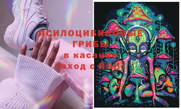 PSILOCYBIN Няндома