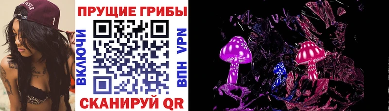 Галлюциногенные грибы Psilocybine cubensis  сколько стоит  Борзя 