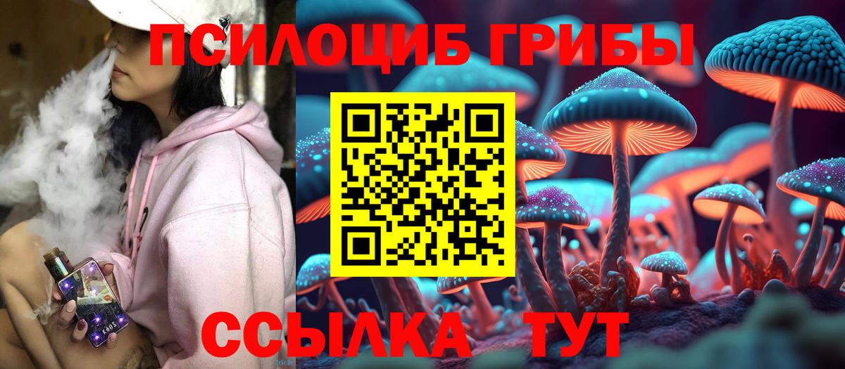 Галлюциногенные грибы Cubensis  Вход с VPN  Борзя 